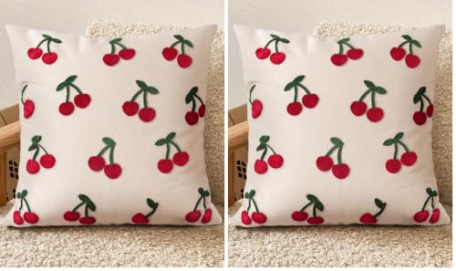 Embroidered Throw Pillow Cover 18x18 Inch, Flower Cluster