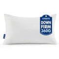 MIULEE 18x18 Throw Pillows Inserts 2 Pack, Decorative Pillows for Couch Bed