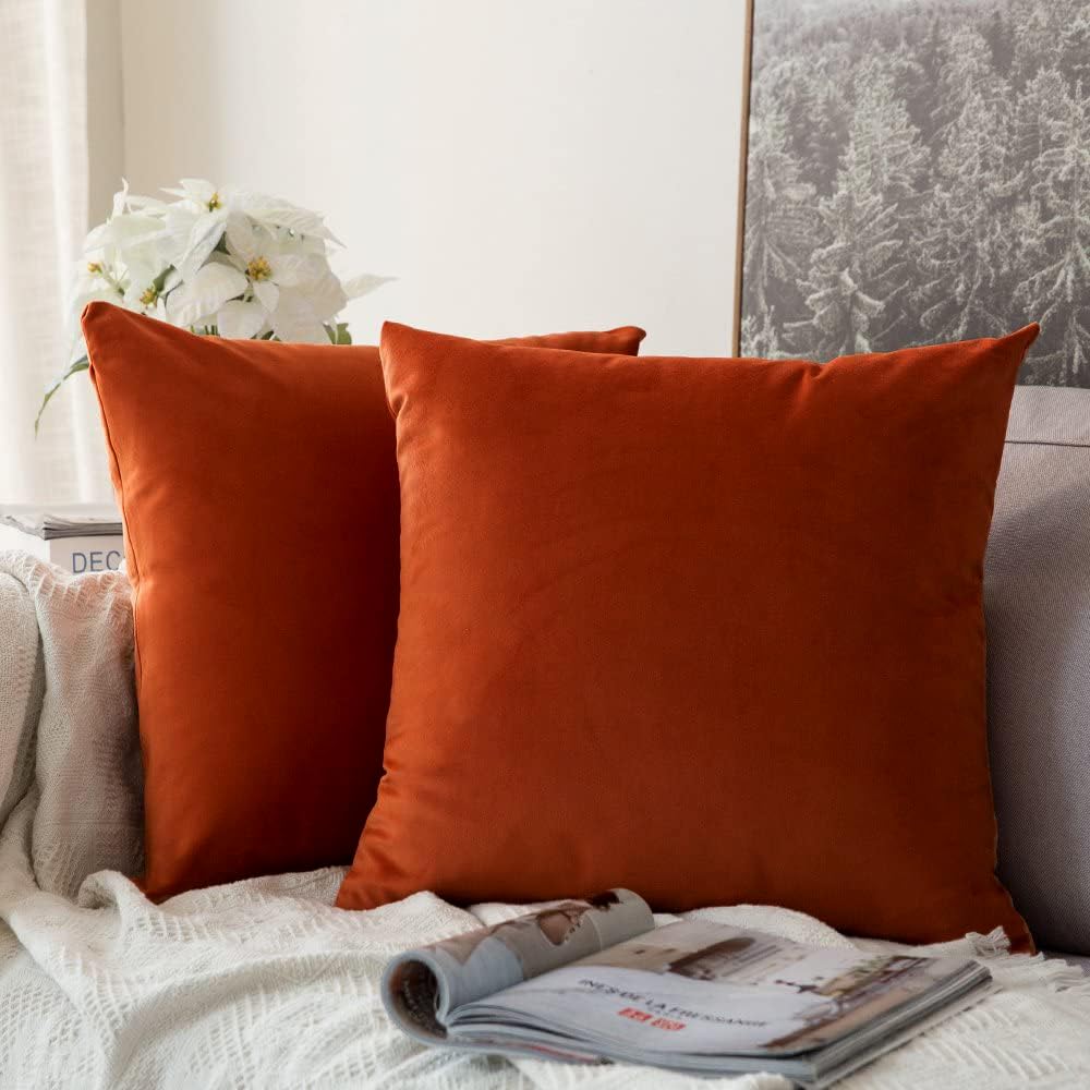 MIULEE Velvet Fall Throw Pillow Covers 20x20 Inch Pack of 2 Burnt Orange