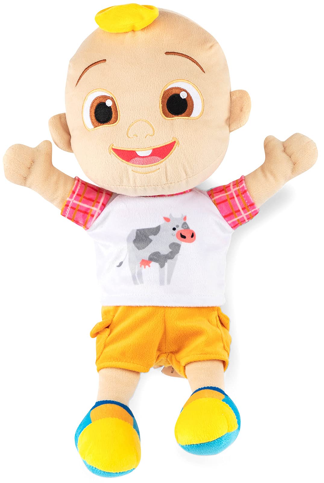 Jay Franco Bluey Bingo 16 Inch Plush Pillow Buddy (Officially Licensed)