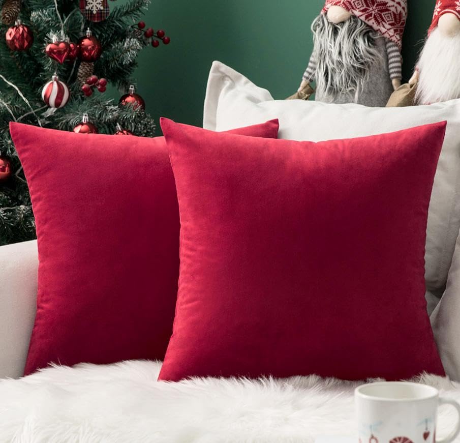 MIULEE Velvet Fall Throw Pillow Covers 20x20 Inch Pack of 2 Burnt Orange