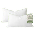 Ashler Synthetic Down Pillow Inserts, 20x20, Set of 2