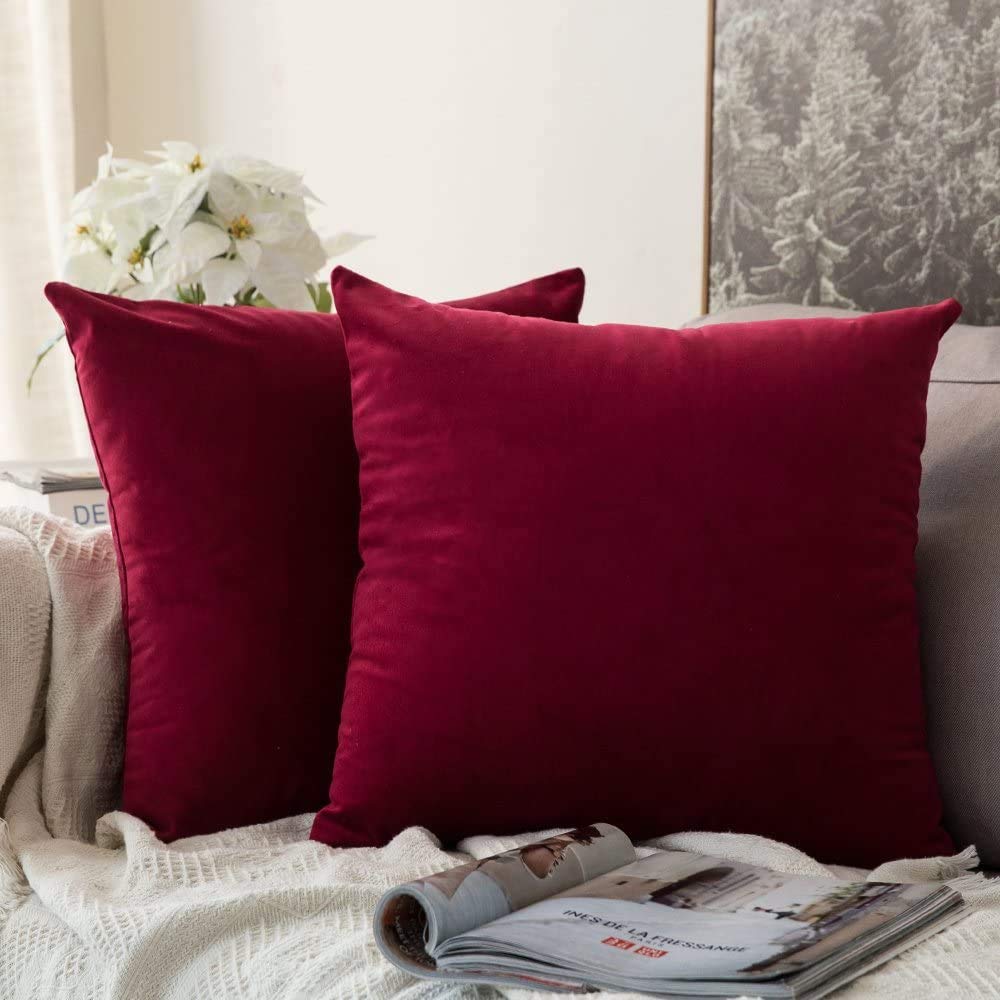 MIULEE Velvet Fall Throw Pillow Covers 20x20 Inch Pack of 2 Burnt Orange