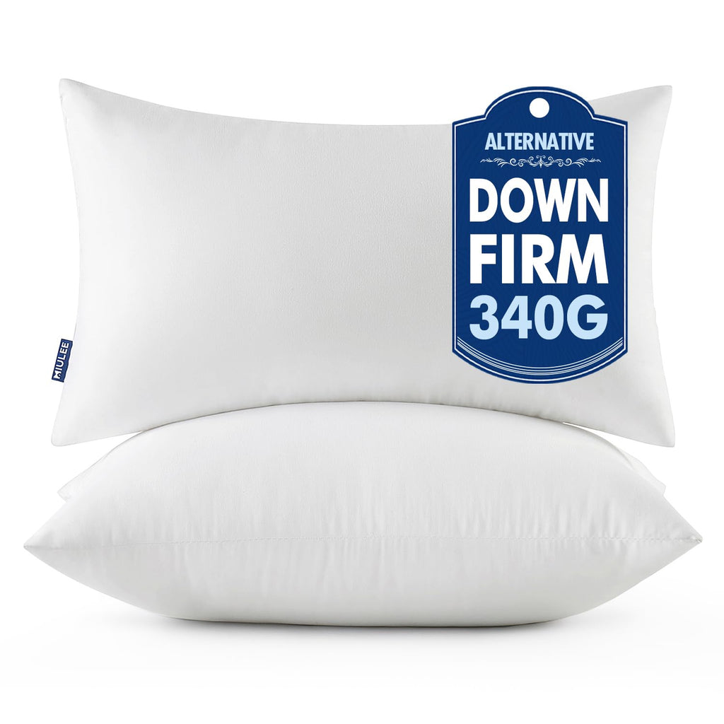 MIULEE 18x18 Throw Pillows Inserts 2 Pack, Decorative Pillows for Couch Bed