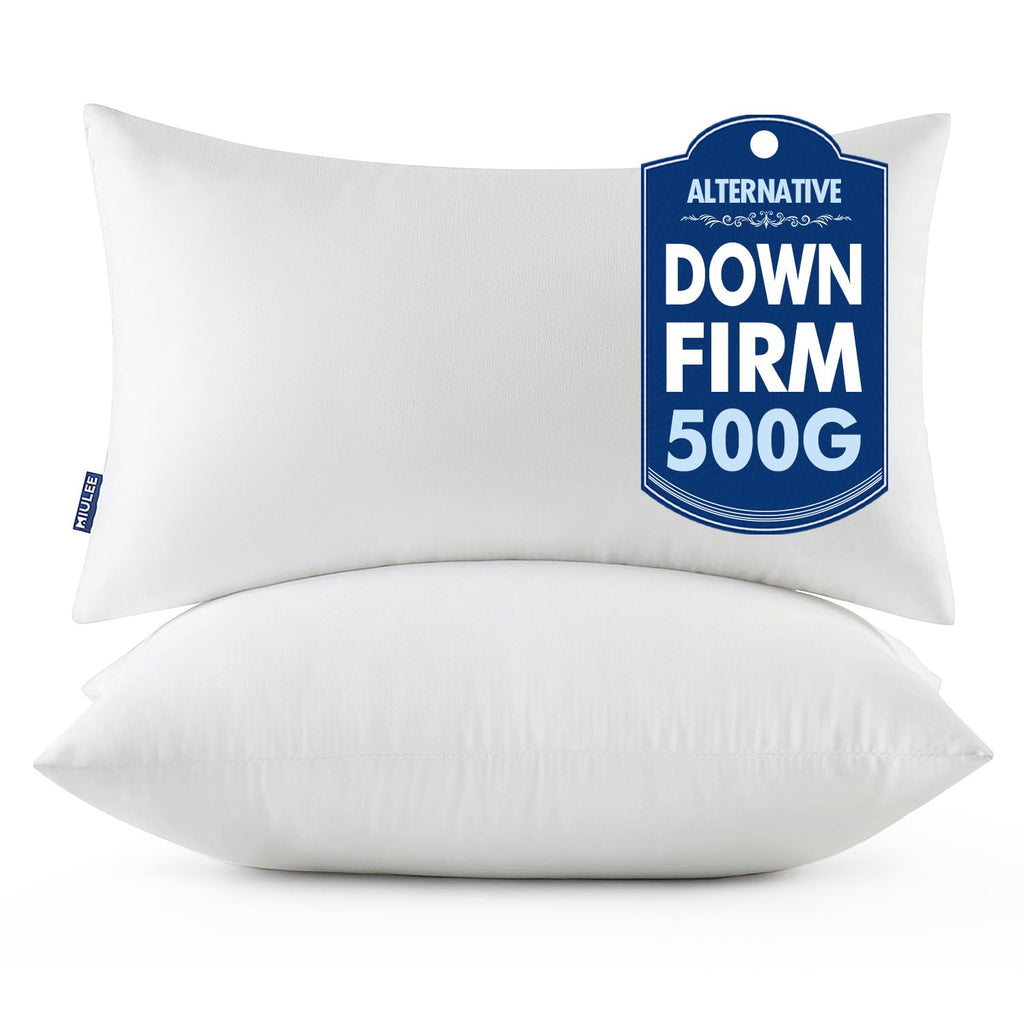 MIULEE 18x18 Throw Pillows Inserts 2 Pack, Decorative Pillows for Couch Bed