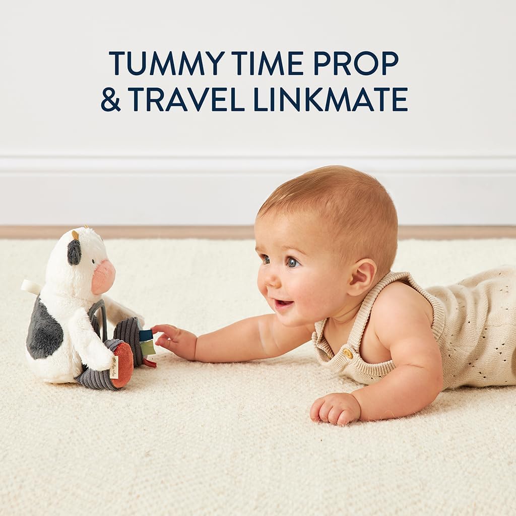 Itzy Ritzy Sensory Tummy Time Mirror Infant Toy - Ages 0 Months & Up (Cow)