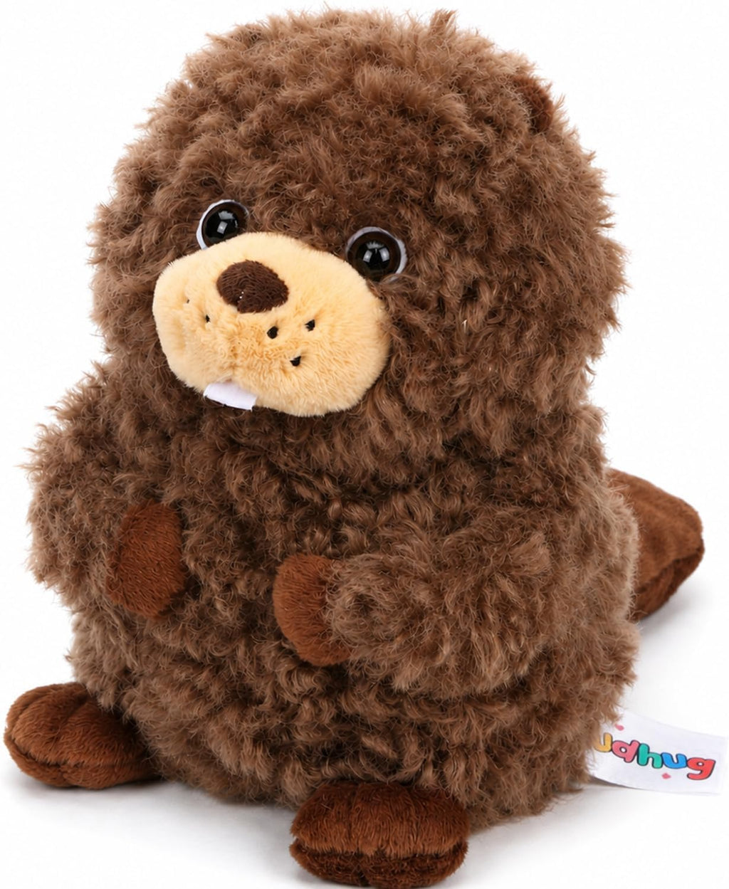 Curly Beaver Stuffed Animal Cute Squishy Plush Toy for Kids 9.8''