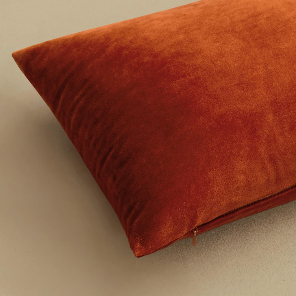 MIULEE Velvet Fall Throw Pillow Covers 20x20 Inch Pack of 2 Burnt Orange