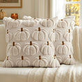 MIULEE Fall Pumpkin Pillow Covers Fall Decor Beige Brown Stem 18x18