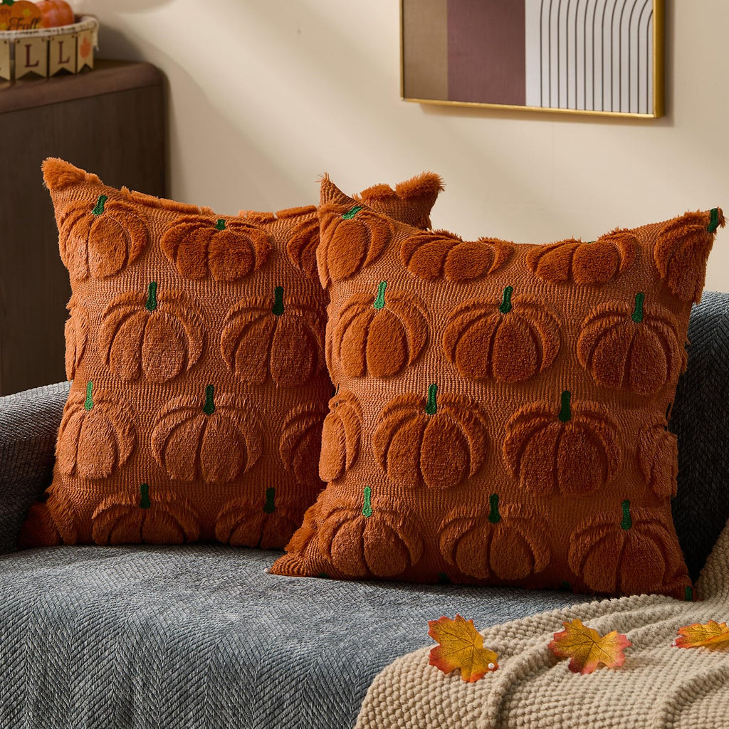 DFXSZ Fall Pillow Covers 18x18 2Pcs Rust Pumpkin Fall Decorations for Home