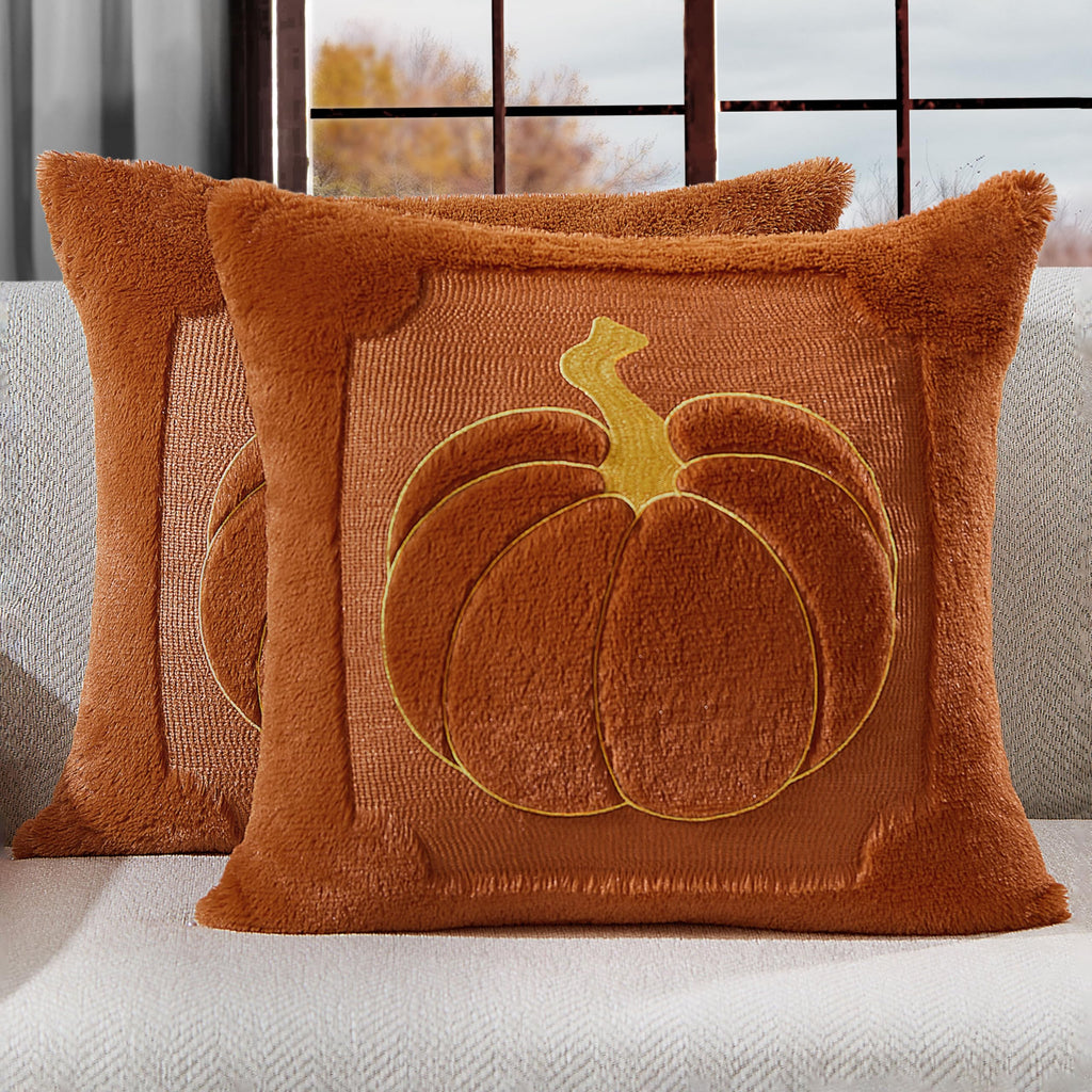 Allorry Fall Pillow Covers 18x18 2 Pack Beige Pumpkin Home Decor PT010A18
